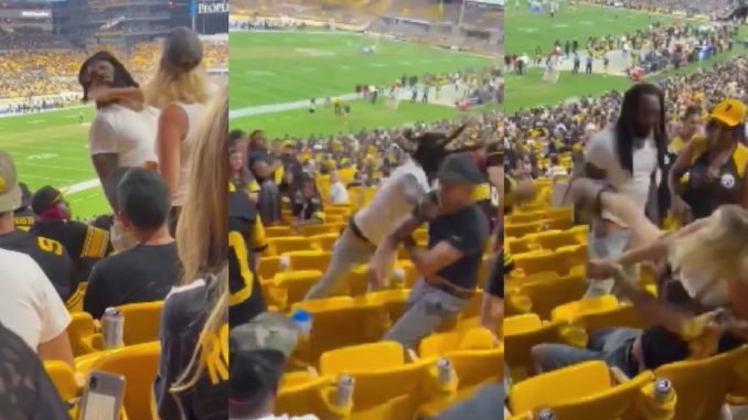 Woman Slaps a Fan and Her Man Gets Put To Sleep For It