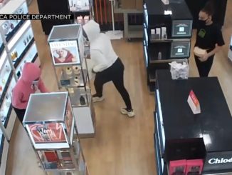 Women Arrested After Raiding a Beauty Store in California