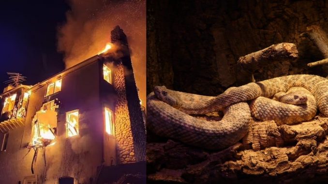 Maryland Manor Burns Down to The Ground After Homeowner Tries To Smoke Out Snakes