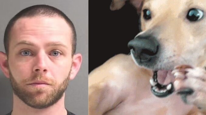 Florida Man Charged After Being Caught on Video Having Sexual Relations With Wife's Dog & Also Possessing Child Pornography