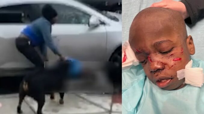 Disturbing Video: 5-Year-Old Autistic Boy Attacked by 2 Dogs Saved by Good Samaritan in Philadelphia