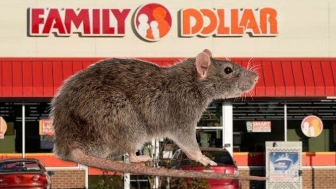 Family Dollar Massive Rodent Infestation Leads to Over 400 Stores Temporarily Closing in Multiple States