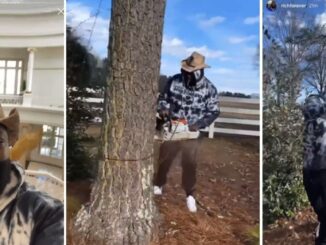 'I'll cut down my own mfing trees': Rick Ross Cutting Down His Own Tree Is Something to See