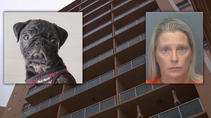 Heartless: Florida Woman Arrested After Allegedly Throwing Her Boyfriend's Key, Wallet and Dog Off 7th Floor of Condo Balcony
