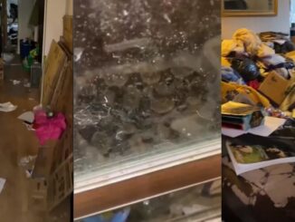 Extreme Hoarder: The Moment a Landlord Finds a Boa Constrictor Left Behind in Trashed House