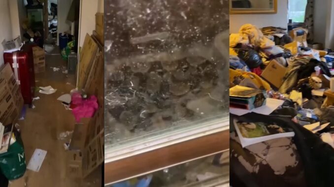 Extreme Hoarder: The Moment a Landlord Finds a Boa Constrictor Left Behind in Trashed House
