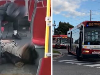 "You are f***ing fried": Bus Driver Fired After Filming Disturbing Video of Intoxicated Female Passengers