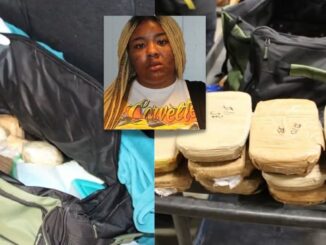 The Mule: Woman Arrested With $3.3 Million in Drugs; $75k in Fentanyl Pills, 23lbs of Crystal Meth and 2.5lbs Cocaine
