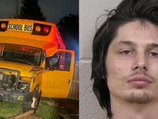 Chaos: 21-Year-Old Man Steals School Bus, Goes on a Joyride and Crashes in Georgia Neighborhood
