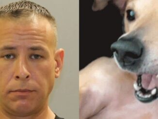 The Tip: Authorities Are Given USB Drive Showing Maryland Man 'Performing Sexual Act on His Dogs'; Arrested