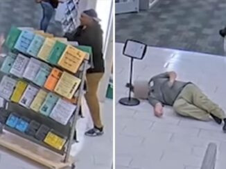 Senseless Random Attack: Surveillance Video Captures Man Sucker Punching California Library Employee