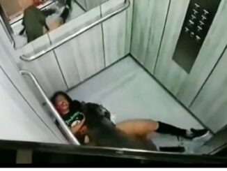 Extremely Graphic: Gruesome Surveillance Video Shows Woman Being Savagely Mauled by Pitbull in Elevator