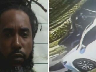 Street Justice: Father Reportedly Guns Down Man Accused of Murdering His Son