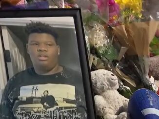 ' I don't feel it's safe': Family of Teen Who Fell from Ride Launches Petition to Shut Down Ride Permanently
