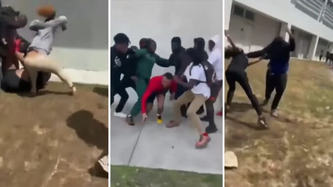 Wild Fight Caught on Camera: 3 Adults Accused of Fighting Minors at Florida High School
