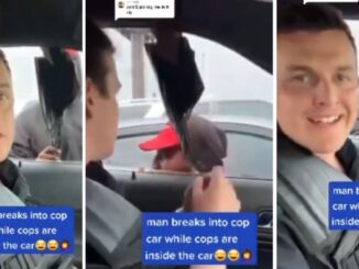 'Criminals just get dumber & dumber': Viral Video Shows Guy Break into Cop Car With Cops Inside