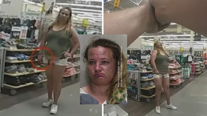 Bodycam Video Shows Police Tasing Woman Armed With Knife in Florida Walmart