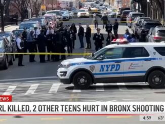 16-Year-Old Girl Killed, 2 Other Teens Wounded in Shooting Outside NYC High School