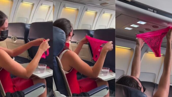 Woman Cleans Her Panties on a Flight & Tries to Air Dry Them