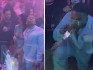 On Sight: Rapper Nelly Charges Toward Someone in Miami Club After Getting Hit in the Head with Object