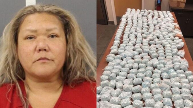 The Mule: 47-Year-Old Woman Arrested With Nearly $1.4M Worth of Fentanyl Pills