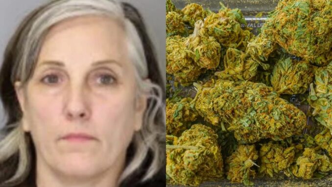 Unbelievable: 54-Year-Old Woman Runs Out of Gas With 229 Pounds of Marijuania in Her Vehicle; Arrested