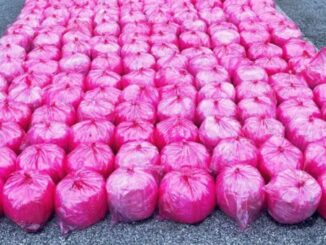 $35 Million Worth of Meth Seized at US-Mexico Border in Truck Hauling Strawberry Purée