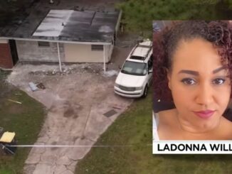 Florida Mom, Missing Since February, Found Dead in Backyard of Rental House