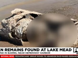 Human Remains Discovered in Barrel in Nevada's Lake Mead Amid Drought; Man Was Shot