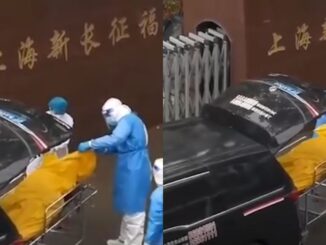 'He's still moving': Elderly Shanghai Patient Mistaken for Dead, Wakes Up in Body Bag Before Being Taken to Morgue