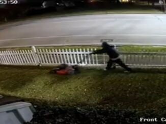 Surveillance Video: Texas Man Cuts Victim's Front & Back Yard Before Stealing Their Lawnmower