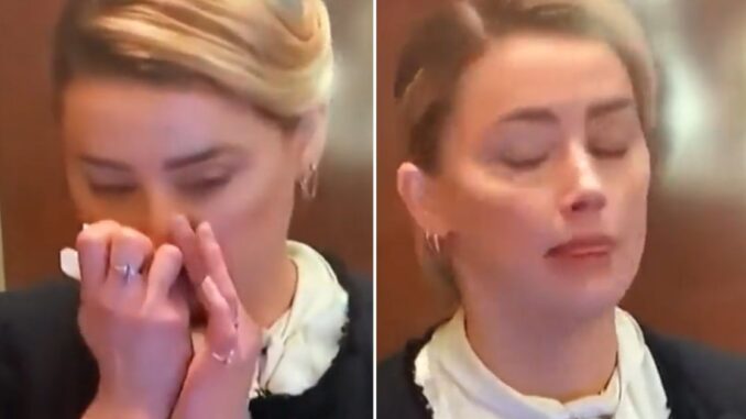 Amber Heard Allegedly Sniffs Cocaine On The Stand