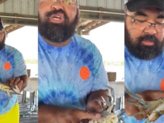 'He want a cigarette right now': Guy Shows How to Put a Male Crab to Sleep...And It Is Hilarious