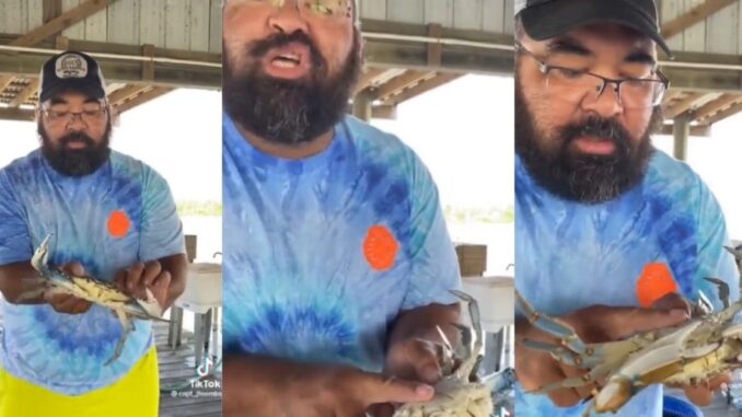 'He want a cigarette right now': Guy Shows How to Put a Male Crab to Sleep...And It Is Hilarious