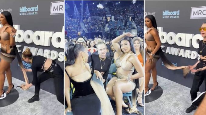 People React to Clips of Cara Delevingne Annoying the Hell Out of Megan Thee Stallion at The Billboard Music Awards [Video Clips]