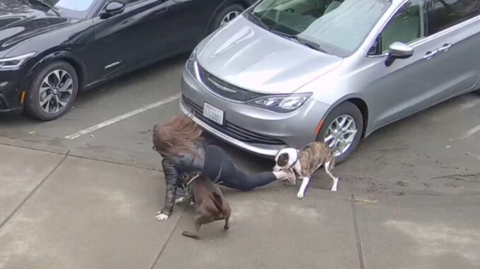 Horrifying: Seattle Woman Gets Attacked by Two Dogs [Video]