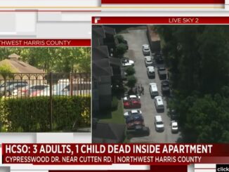3 Adults, 1 Child Found Shot to Death in Apparent Murder-Suicide in Houston, Texas