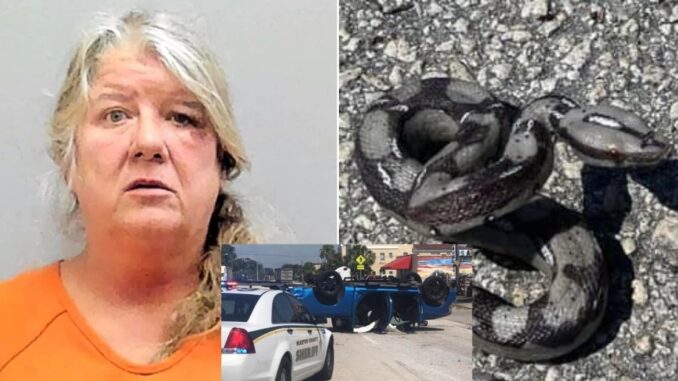 Florida Woman Crashes into Multiple Vehicles and Throws Fake Snake at Cops While Trying to Make Getaway