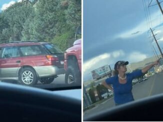 Viral Video Shows Woman in Idaho Tries to Stop Traffic to Make a 'Citizens Arrest'