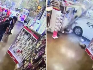Viral Video Shows Vehicle Mow Down Shoppers After Crashing into Arizona Store