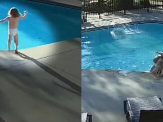 Caught on Surveillance Video: Neighbor Saves a 4-Year-Old With Autism That Jumped In A Pool