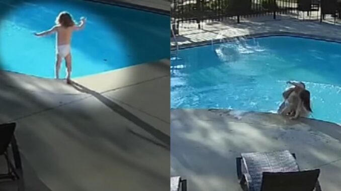 Caught on Surveillance Video: Neighbor Saves a 4-Year-Old With Autism That Jumped In A Pool