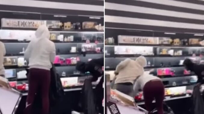 Video Shows Bold Shoplifters Clearing Shelves at Sephora Store in LA