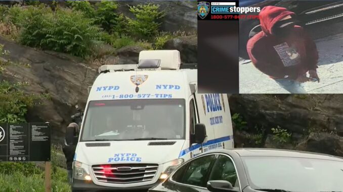 Horrifying & Disturbing: Woman Raped at Knifepoint in Broad Daylight Inside NYC Park