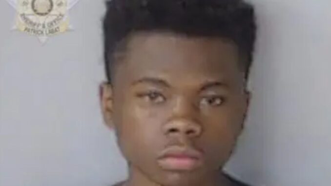 Social Media: Teen Arrested After Threatening to Kill Fulton County Sheriff Over YSL Arrest
