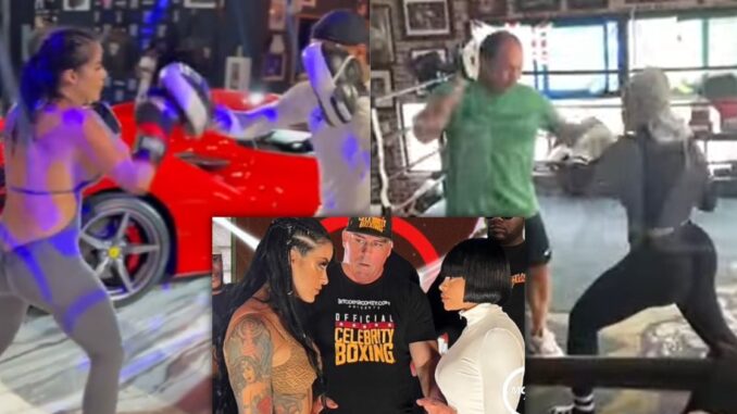 Blac Chyna Trains for Upcoming Celeb Boxing Match, Video Shows Her 'Throwing Them Hands