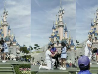Disney Issues Apology After a Hating A** Employee Interrupts a Marriage Proposal