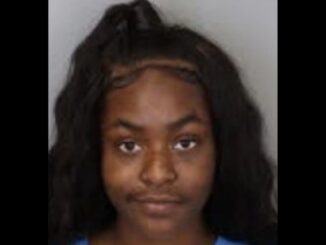 23-Year-Old Woman Arrested After Firing Multiple Shots into Home With Kids Inside