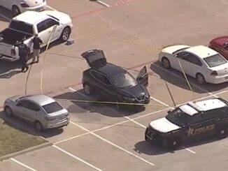 Police in Texas Fatally Shoot Gunman at Dallas-Area Summer Camp Facility