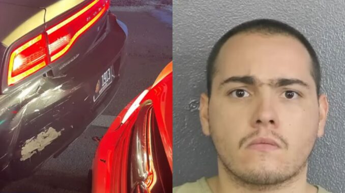 Florida Man Says He Purposely Hit Trooper's Vehicle Because He Wanted to Go to Jail